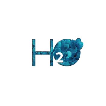 H2O